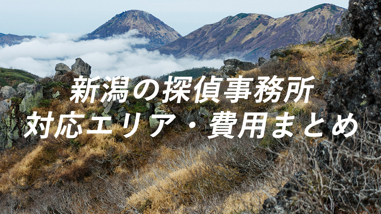 新潟の探偵事務所 対応エリア・費用まとめ