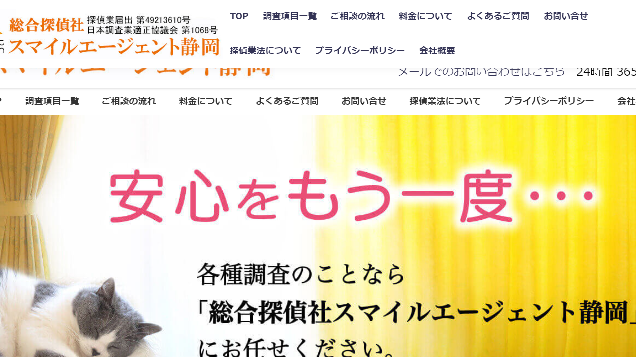 13 - 【静岡県 探偵】静岡県内で不倫調査や浮気調査で探偵をお探しなら総合探偵社スマイルエージェント静岡 - smile-agent-shizuoka.com